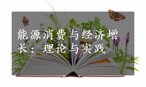 能源消费与经济增长：理论与实践