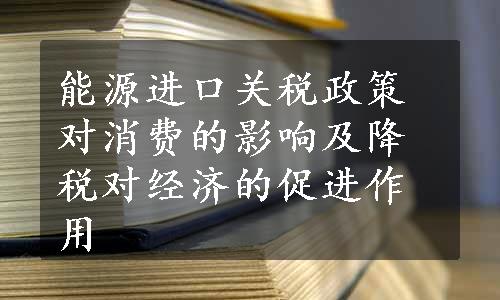 能源进口关税政策对消费的影响及降税对经济的促进作用