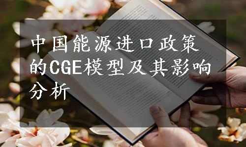 中国能源进口政策的CGE模型及其影响分析