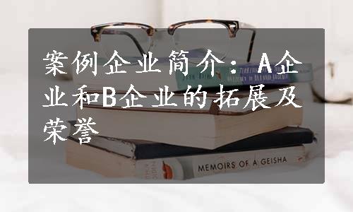 案例企业简介：A企业和B企业的拓展及荣誉