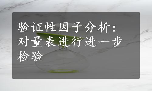 验证性因子分析：对量表进行进一步检验