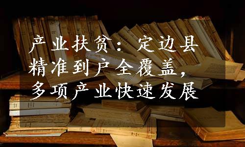 产业扶贫：定边县精准到户全覆盖，多项产业快速发展