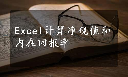 Excel计算净现值和内在回报率