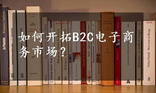 如何开拓B2C电子商务市场？