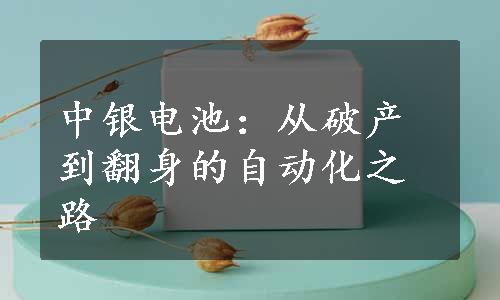 中银电池：从破产到翻身的自动化之路