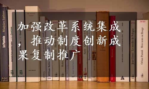 加强改革系统集成，推动制度创新成果复制推广