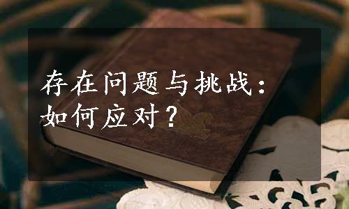 存在问题与挑战：如何应对？