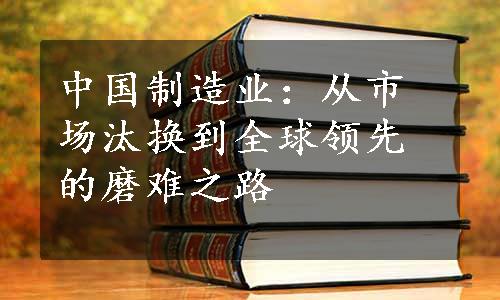 中国制造业：从市场汰换到全球领先的磨难之路