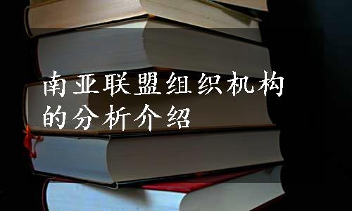 南亚联盟组织机构的分析介绍