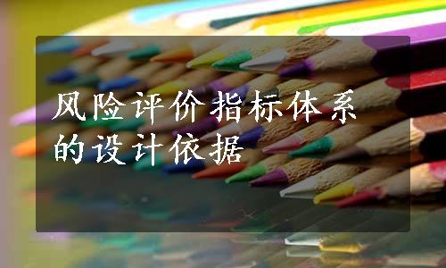 风险评价指标体系的设计依据