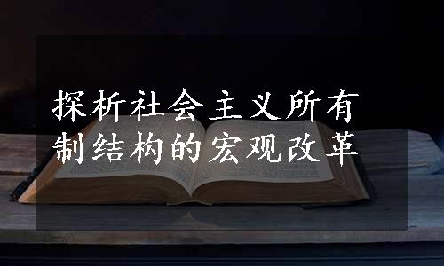 探析社会主义所有制结构的宏观改革