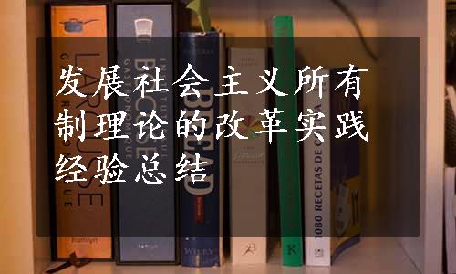 发展社会主义所有制理论的改革实践经验总结