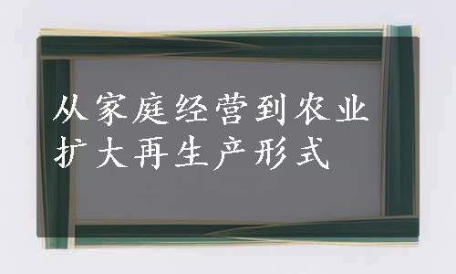 从家庭经营到农业扩大再生产形式