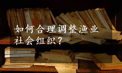 如何合理调整渔业社会组织？