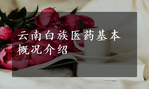 云南白族医药基本概况介绍