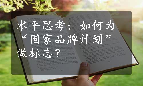 水平思考：如何为“国家品牌计划”做标志？