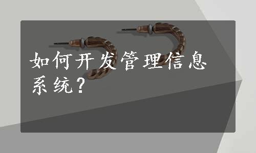 如何开发管理信息系统？