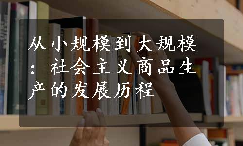 从小规模到大规模：社会主义商品生产的发展历程