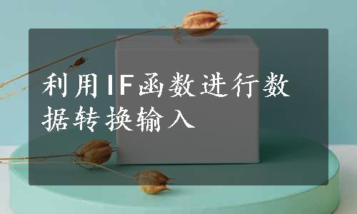 利用IF函数进行数据转换输入