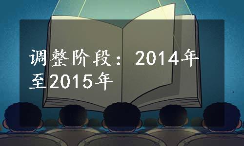 调整阶段：2014年至2015年