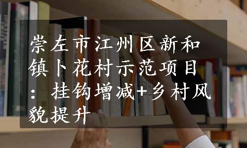 崇左市江州区新和镇卜花村示范项目：挂钩增减+乡村风貌提升