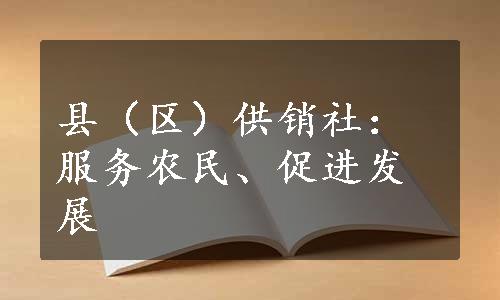 县（区）供销社：服务农民、促进发展