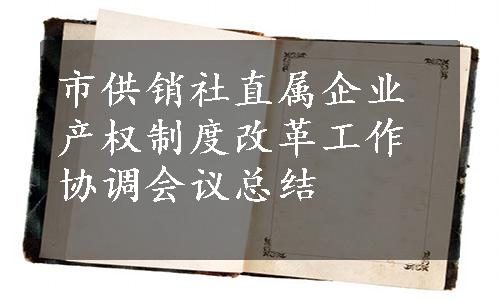 市供销社直属企业产权制度改革工作协调会议总结