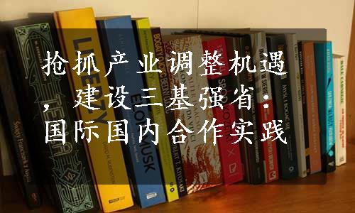 抢抓产业调整机遇，建设三基强省：国际国内合作实践