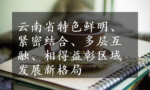 云南省特色鲜明、紧密结合、多层互融、相得益彰区域发展新格局