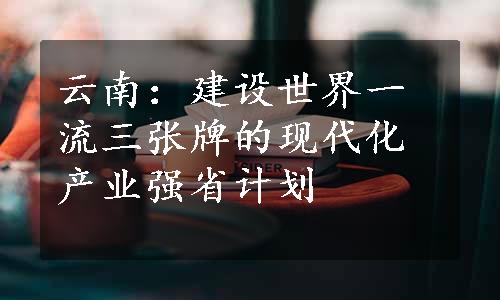 云南：建设世界一流三张牌的现代化产业强省计划