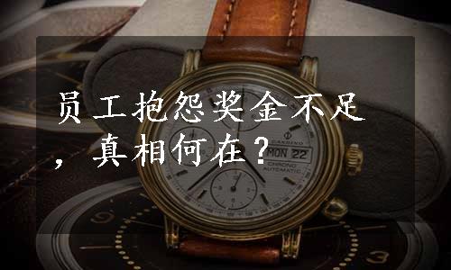 员工抱怨奖金不足，真相何在？