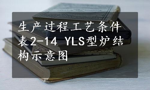 生产过程工艺条件表2-14 YLS型炉结构示意图