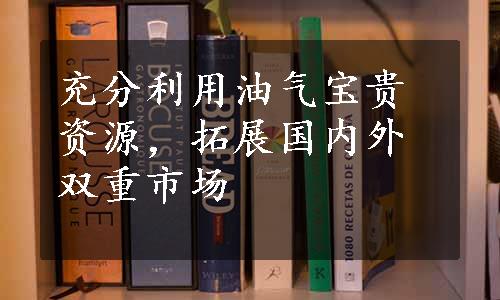 充分利用油气宝贵资源，拓展国内外双重市场