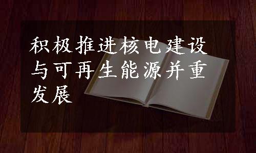 积极推进核电建设与可再生能源并重发展