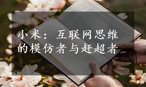 小米：互联网思维的模仿者与赶超者