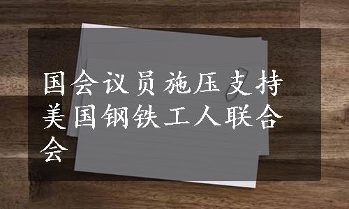 国会议员施压支持美国钢铁工人联合会