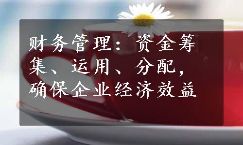 财务管理：资金筹集、运用、分配，确保企业经济效益