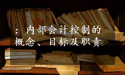 ：内部会计控制的概念、目标及职责