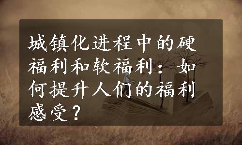 城镇化进程中的硬福利和软福利：如何提升人们的福利感受？