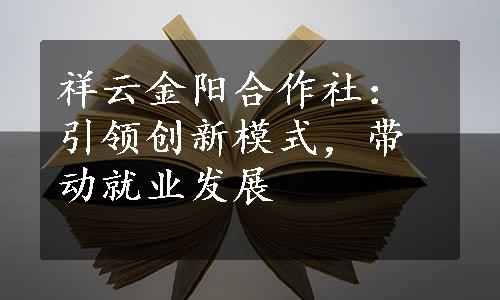 祥云金阳合作社：引领创新模式，带动就业发展