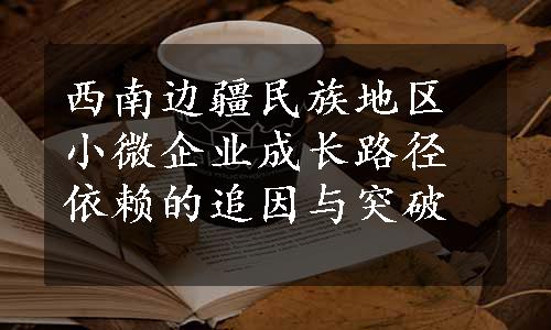 西南边疆民族地区小微企业成长路径依赖的追因与突破