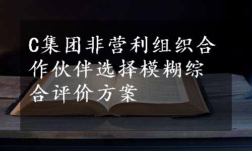 C集团非营利组织合作伙伴选择模糊综合评价方案