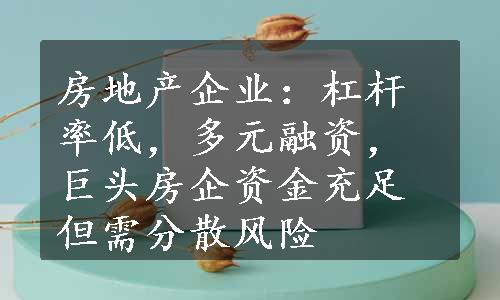 房地产企业：杠杆率低，多元融资，巨头房企资金充足但需分散风险