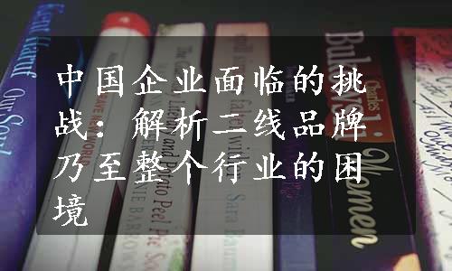 中国企业面临的挑战：解析二线品牌乃至整个行业的困境