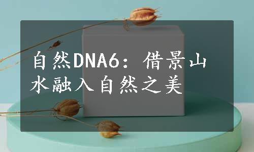 自然DNA6：借景山水融入自然之美