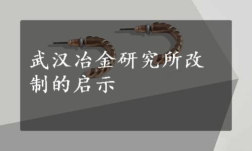 武汉冶金研究所改制的启示