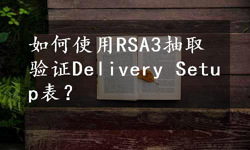 如何使用RSA3抽取验证Delivery Setup表？