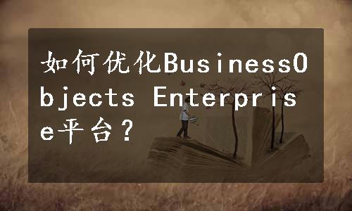 如何优化BusinessObjects Enterprise平台？