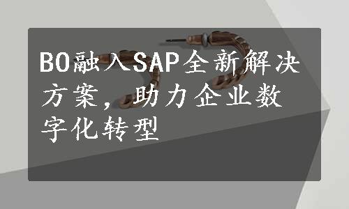 BO融入SAP全新解决方案，助力企业数字化转型