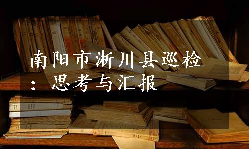 南阳市淅川县巡检：思考与汇报